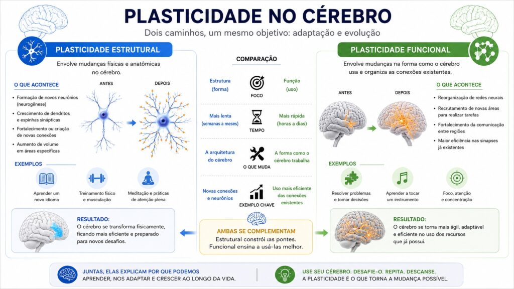 Comparação entre plasticidade estrutural e plasticidade funcional do cérebro.